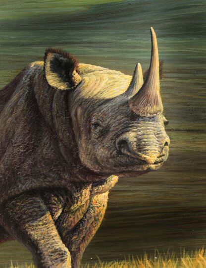 Rhino