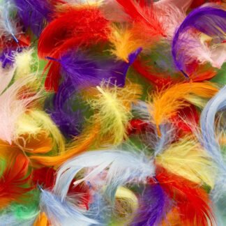 Feathers