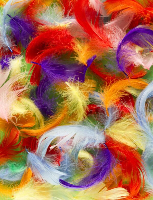 Feathers