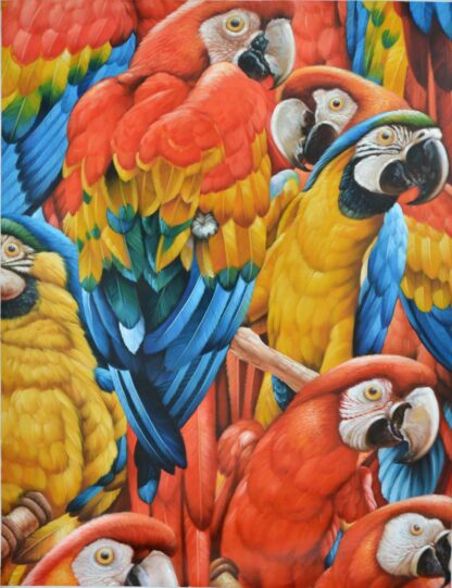 Red and Blue Macaw