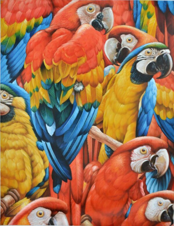 Red and Blue Macaw