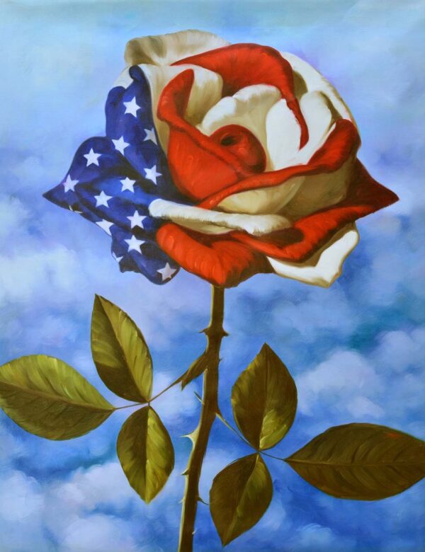 American Flag Single Rose