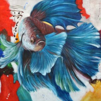 Fish Color Background