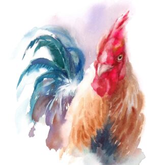 Rooster Watercolor