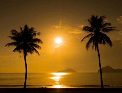 Two Palm Trees Sunset Tropical Beach