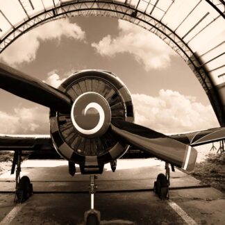 Airplane in Hanger