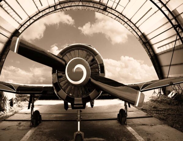 Airplane in Hanger