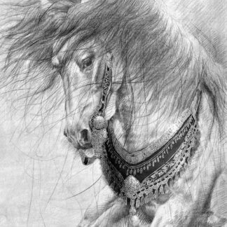 Horse BW