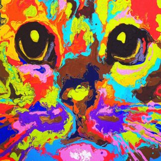 Cat Face