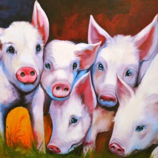 Pigs