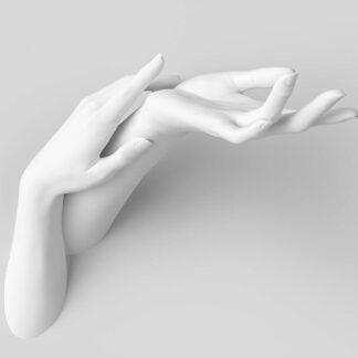 Intrinsic Hands