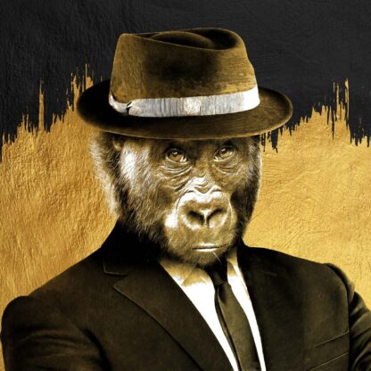 No Monkey Business
