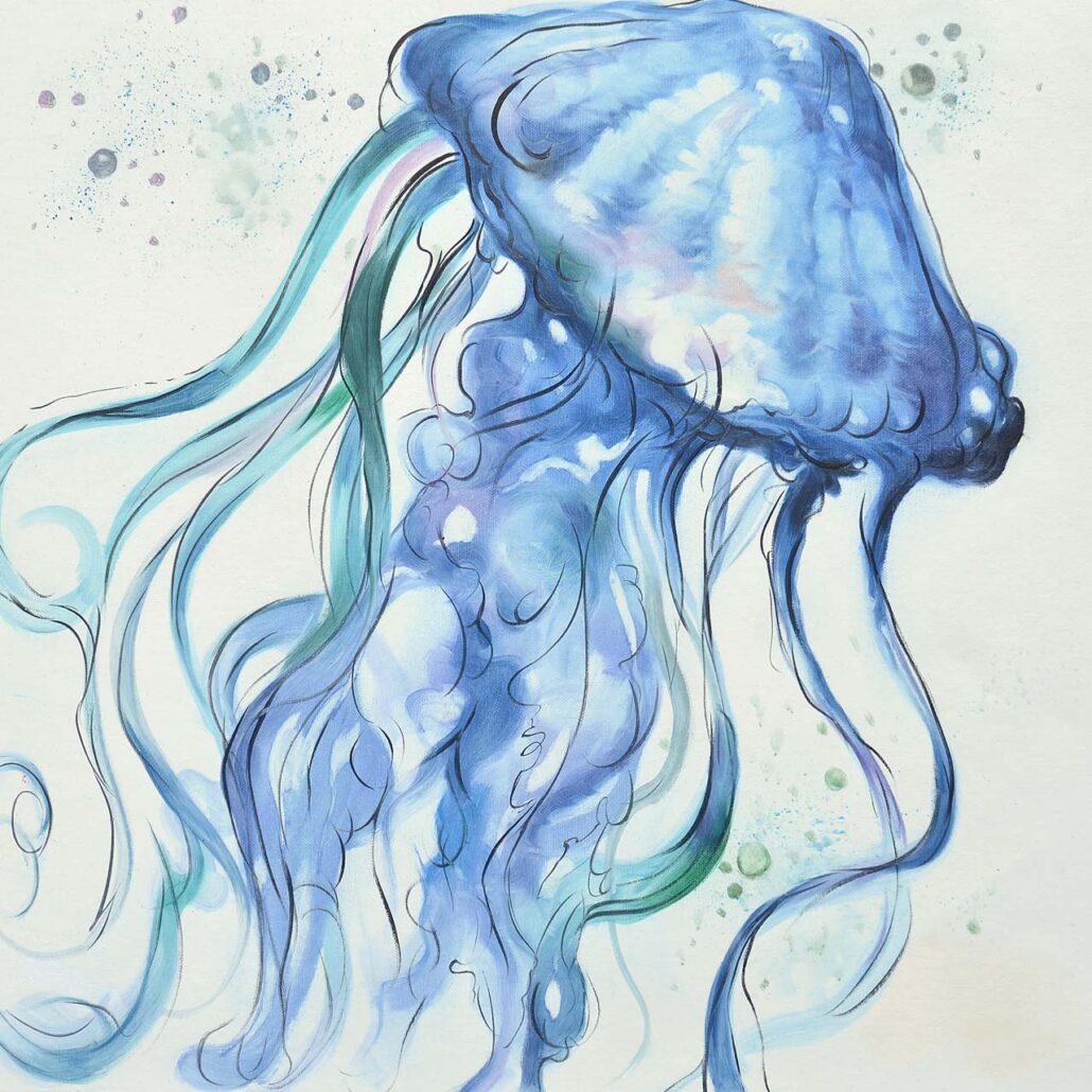 Jellyfish