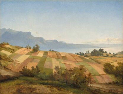 Square Farm