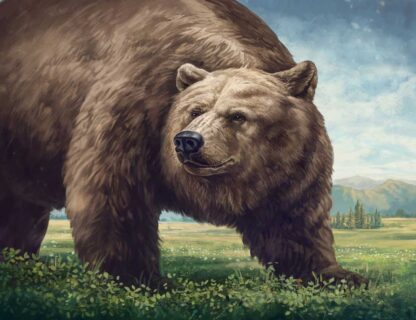 Brown Bear GCL3