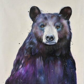 Black Bear