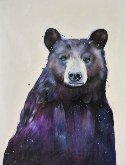 Black Bear