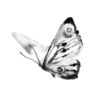 Black and White Butterfly Giclee