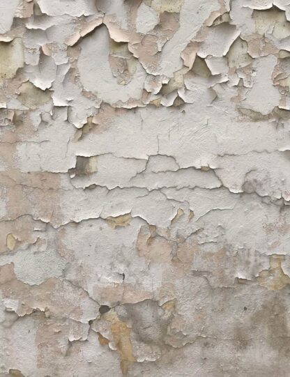 Peeling White Patch Gold Leaf Giclee