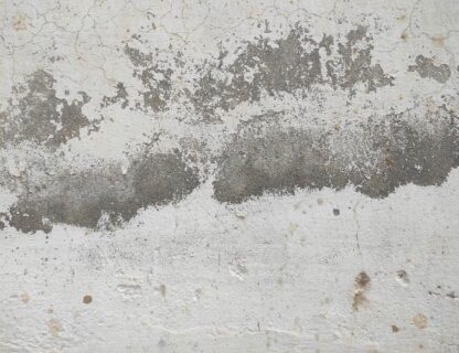 Silver Patch Giclee