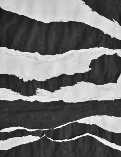 Zebra Stripes Pattern Giclee