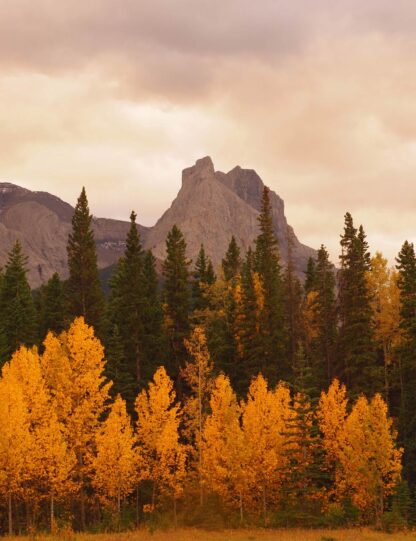 Autumn Mountain View Giclee