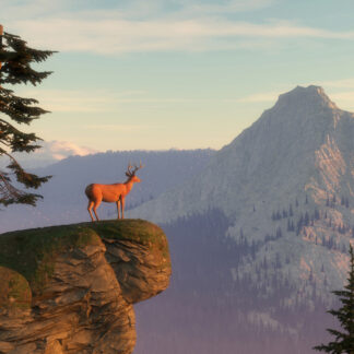 Deer on Mountain Giclee