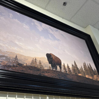Framed Buffalo on Mountain Giclee