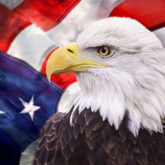 Patriotic Eagle With Flag Giclee