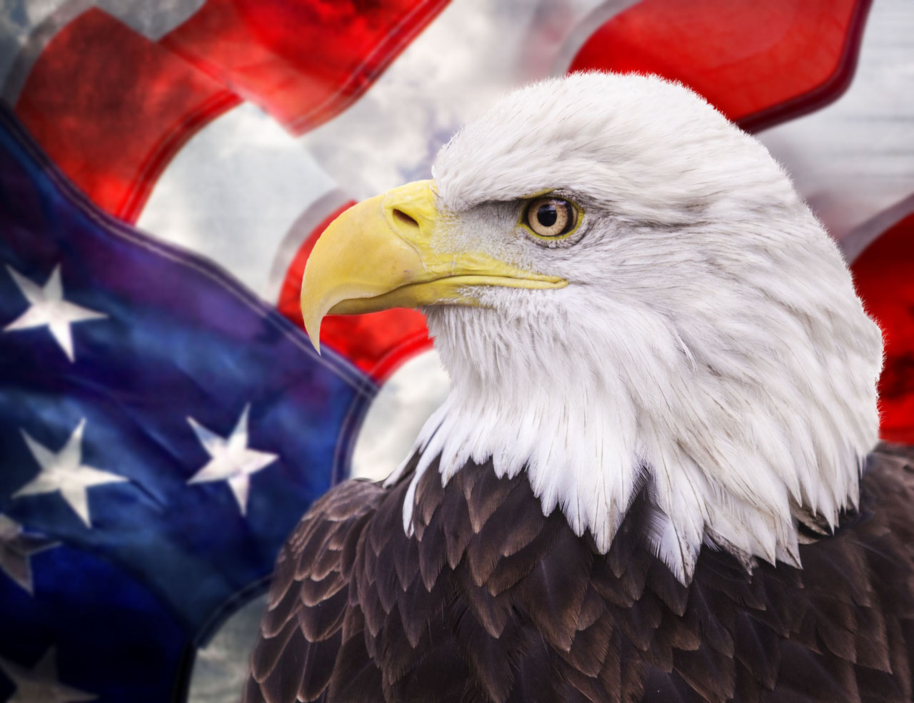 Patriotic Eagle With Flag Giclee