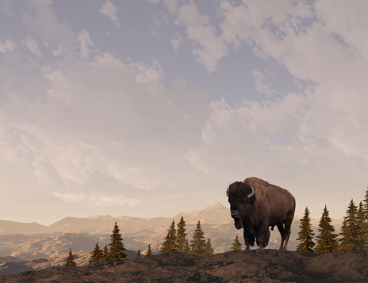 Buffalo on Mountain Giclee