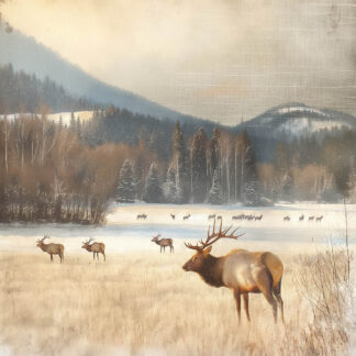 Deer in the Mountains Giclee