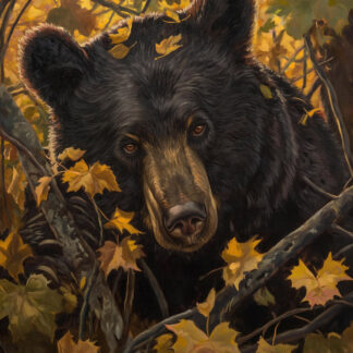Bear In an Autumn Leaves Forest Giclee