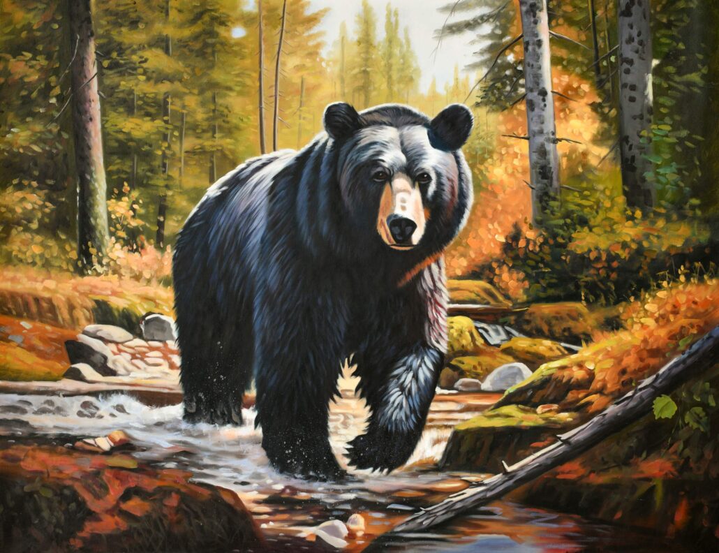 Black Bear Strolling in the River