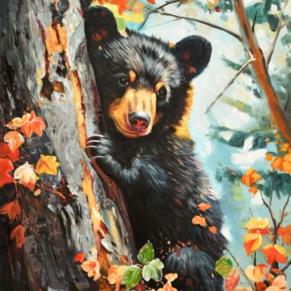 Black Bear Cub in the Autumn Forest