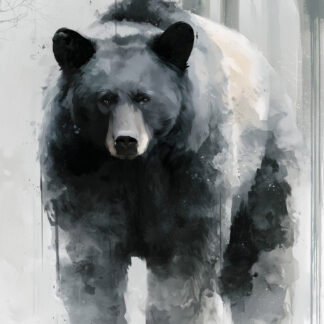 Winter Black Bear