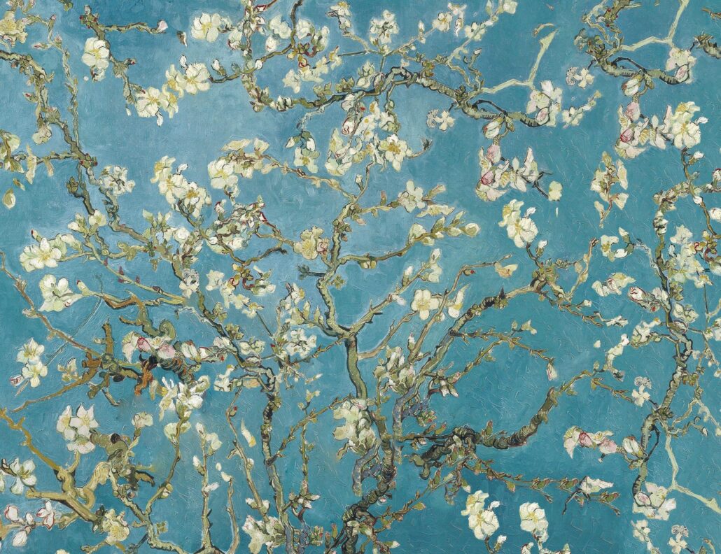 White Blossoms on Blue