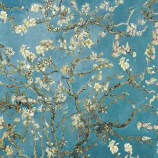 White Blossoms on Blue
