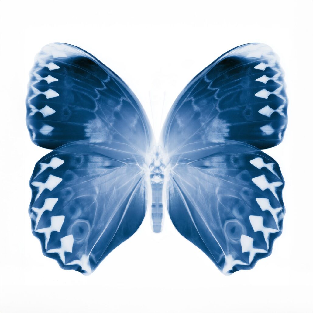Indigo Butterfly