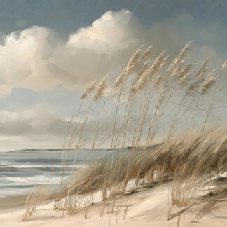 Coastal Dunes